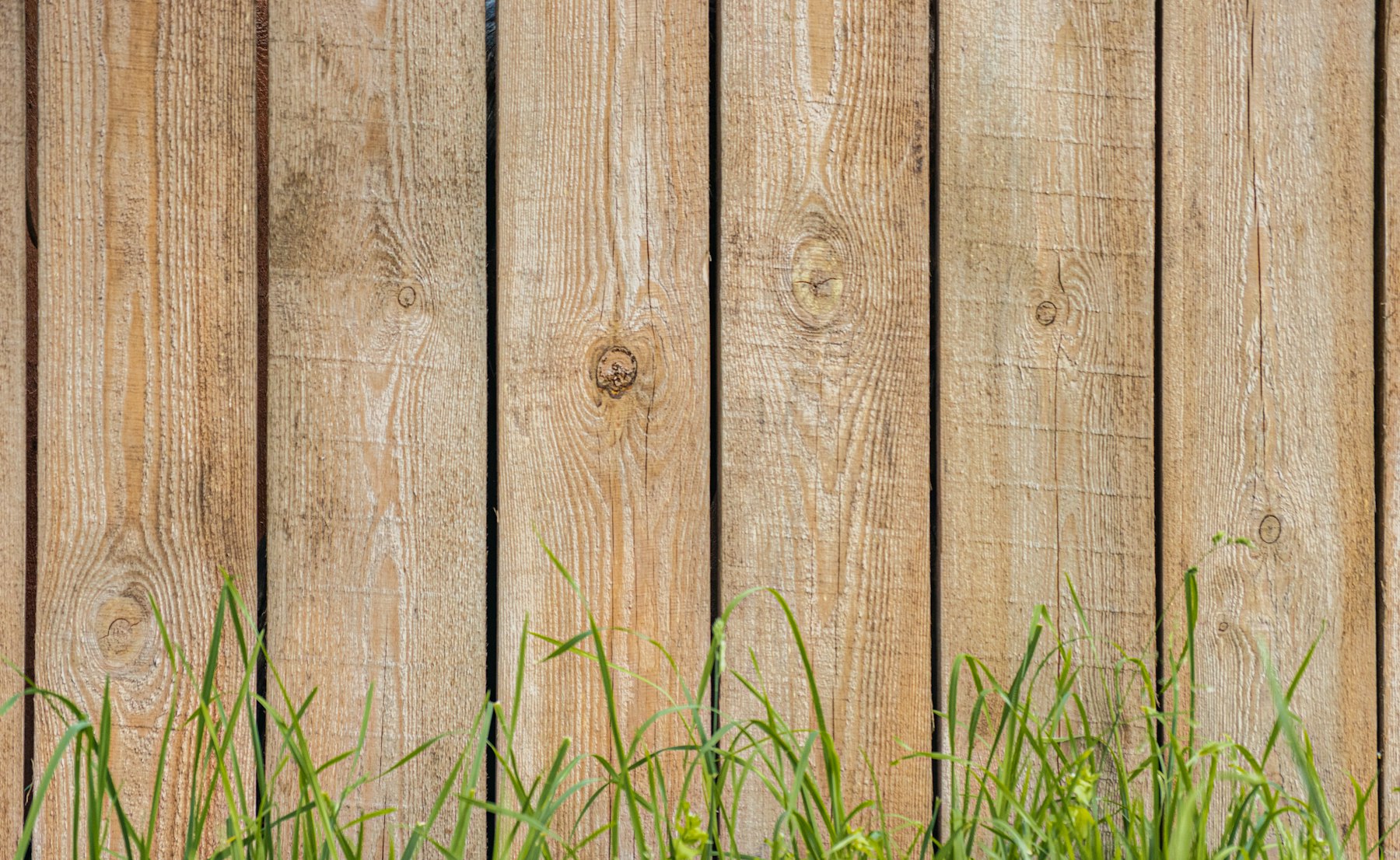 Green grass beside a newly installed brown wooden privacy fence