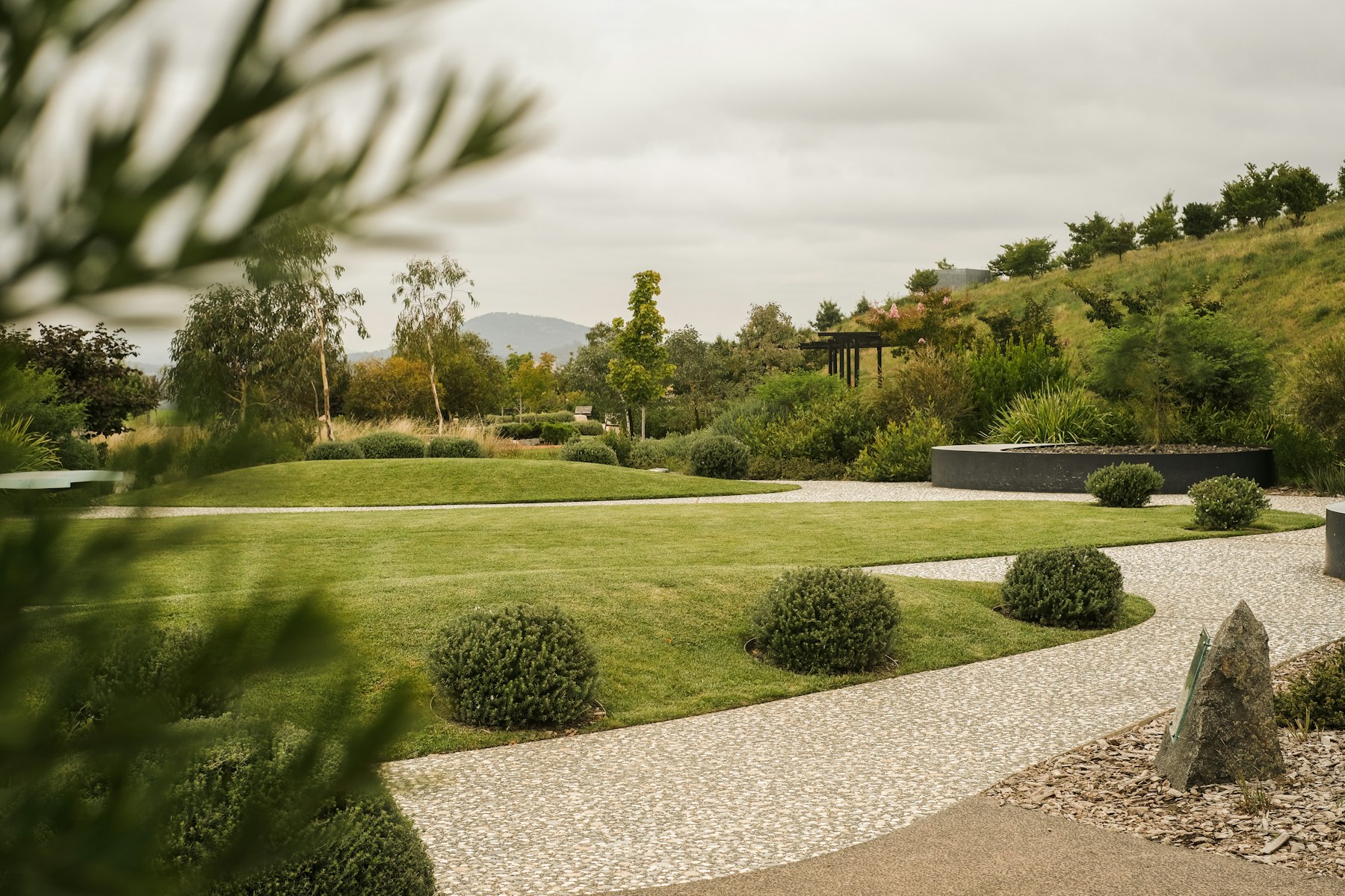 A landscaped lawn with manicured shrubs and a gravel path winding through the yard