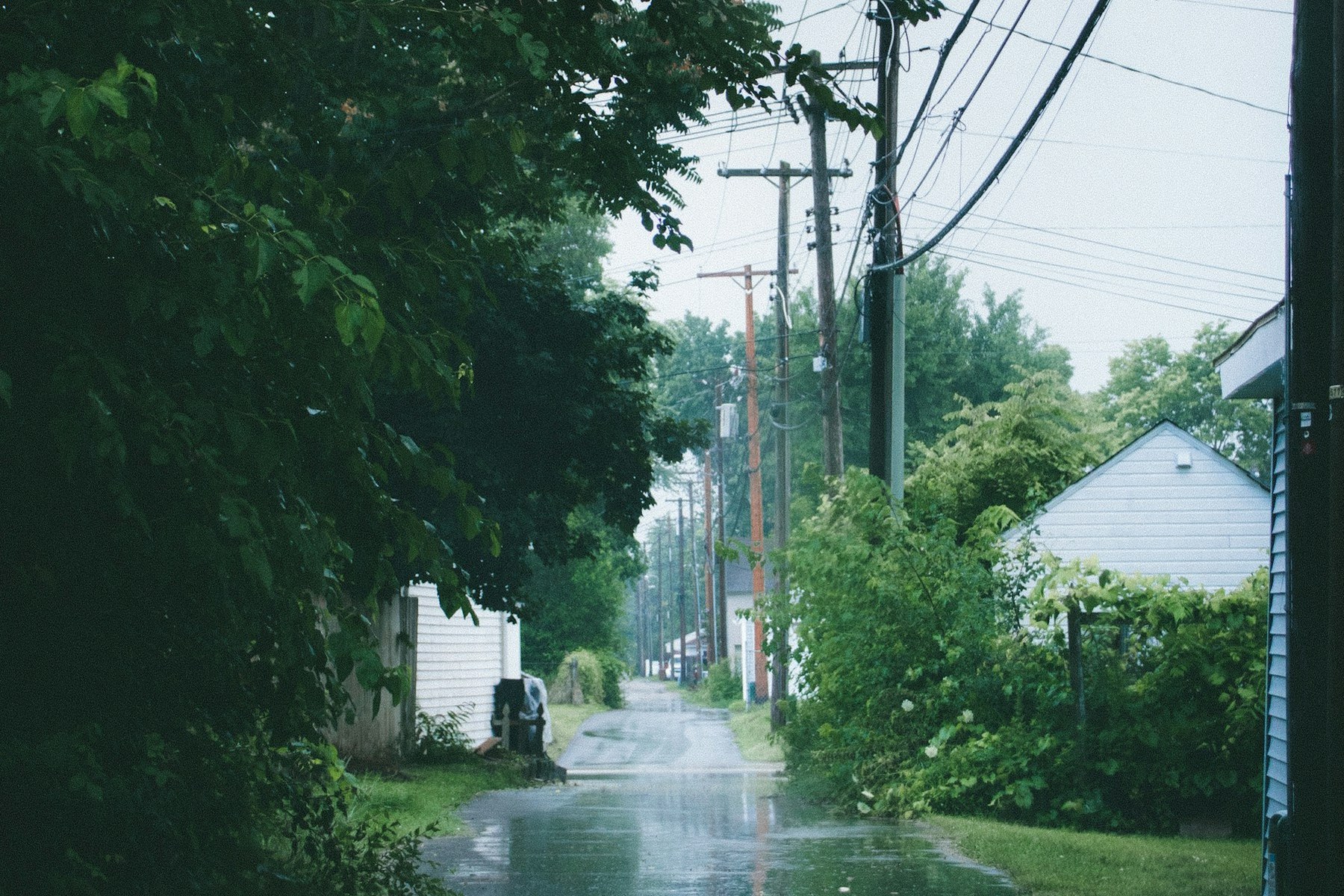 A residential street with wet pavement, utility poles and green trees after rain