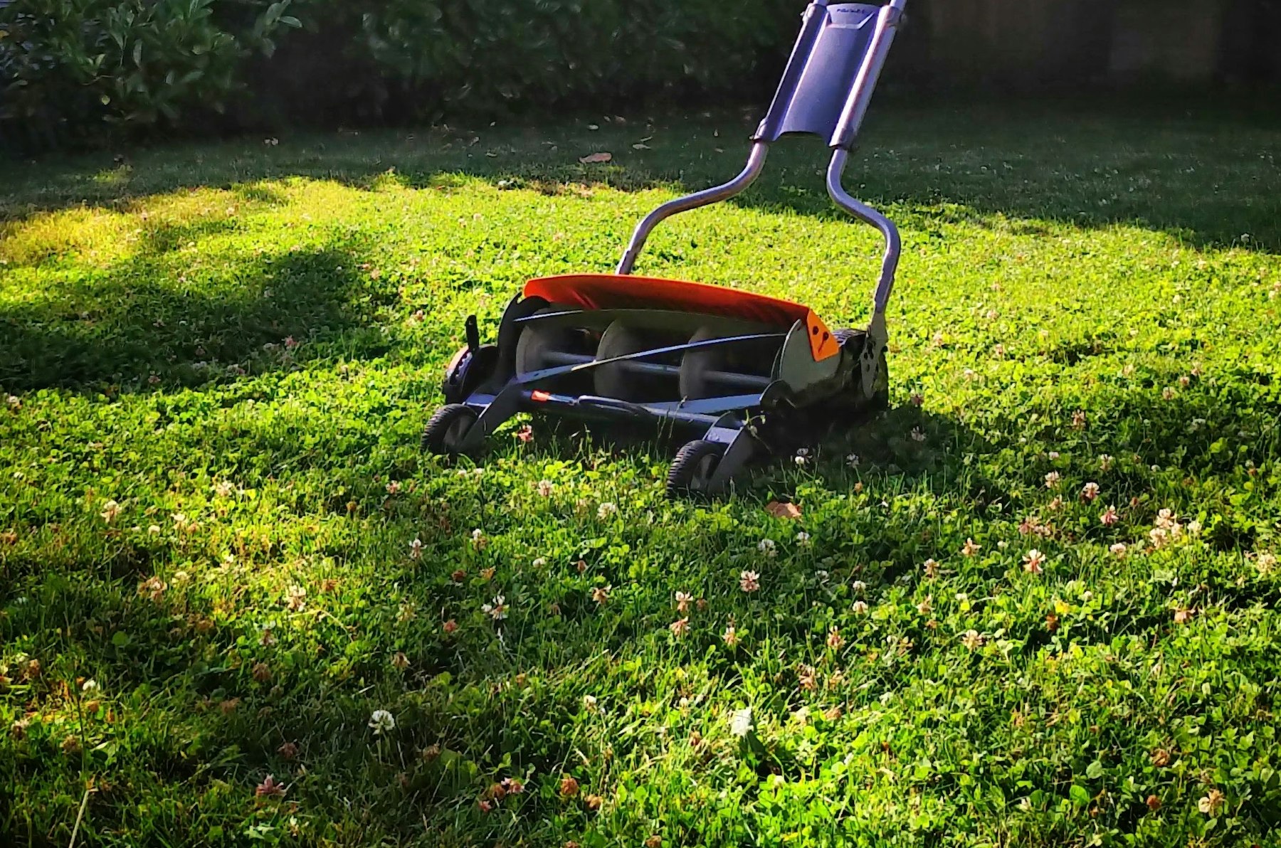 A manual reel lawn mower sitting on a freshly cut lawn beside a hedge